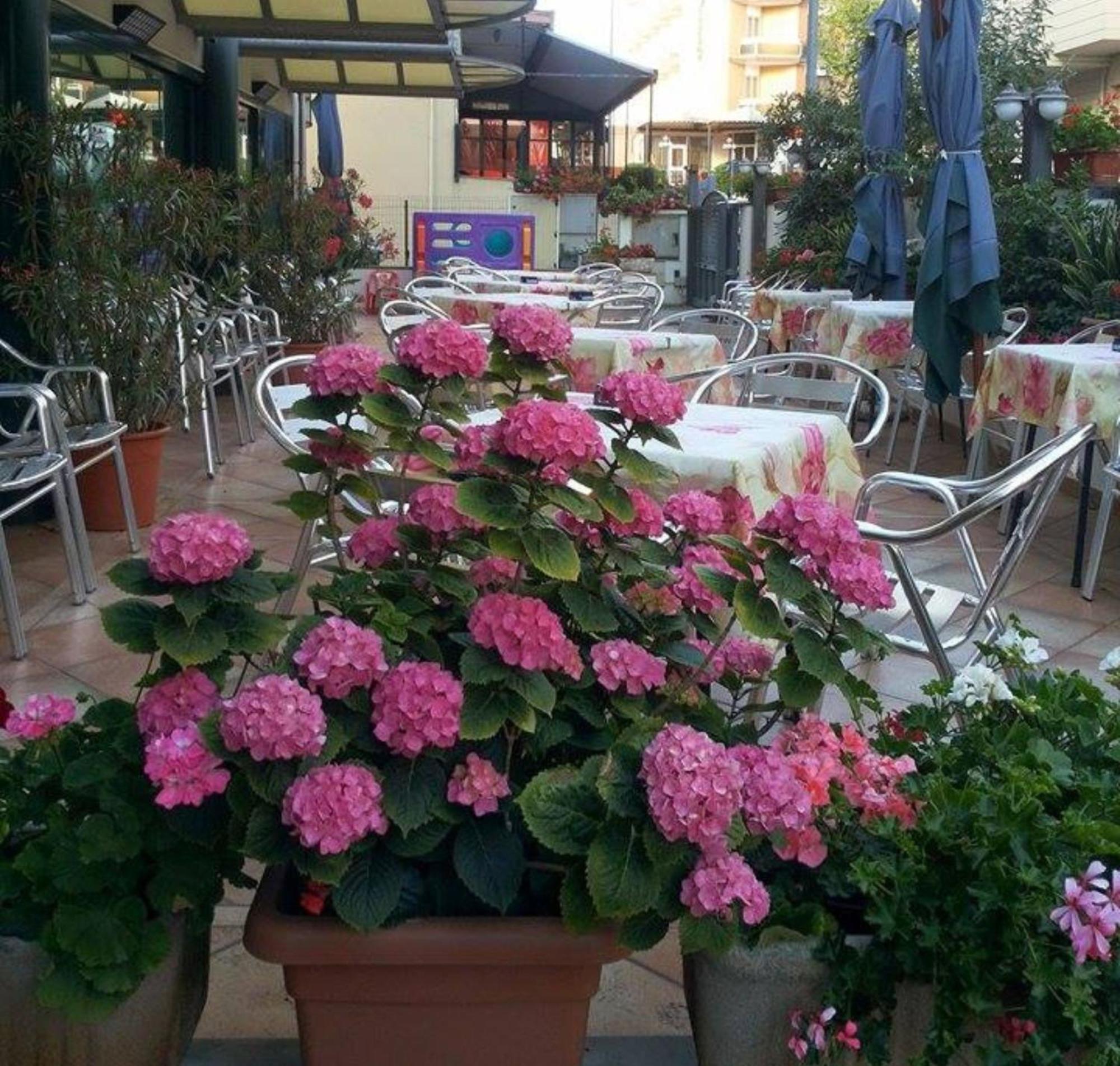 Hotel Caruso Rimini Exterior photo